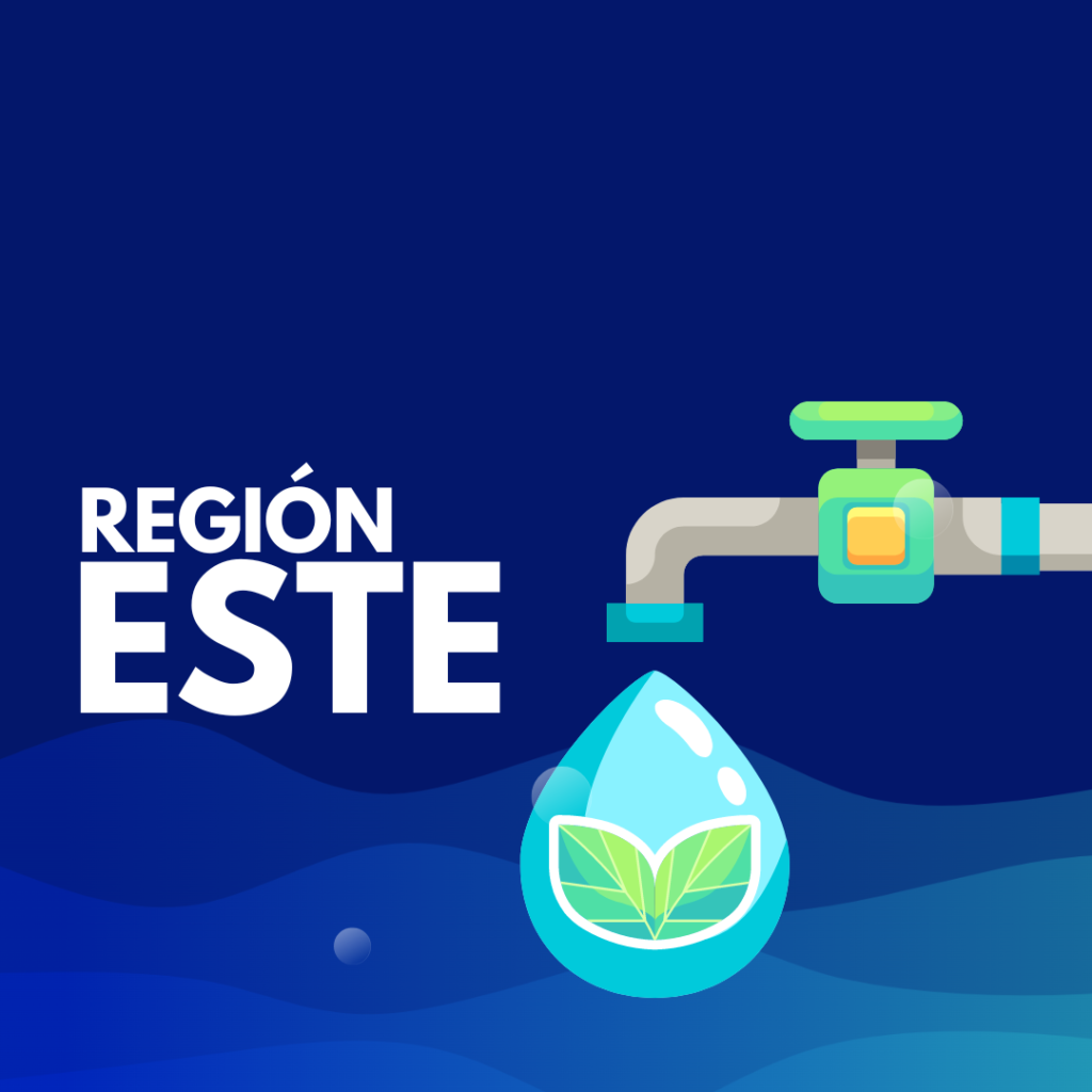 Trabajos programados afectarán servicio de agua en Juncos Ceiba Las