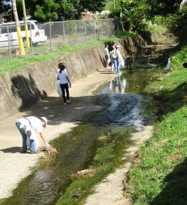 Limpieza quebrada en el río Humacao (Foto suministrada)