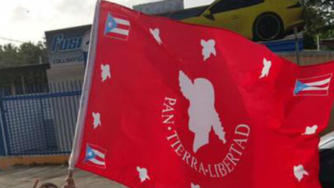 Bandera PPD