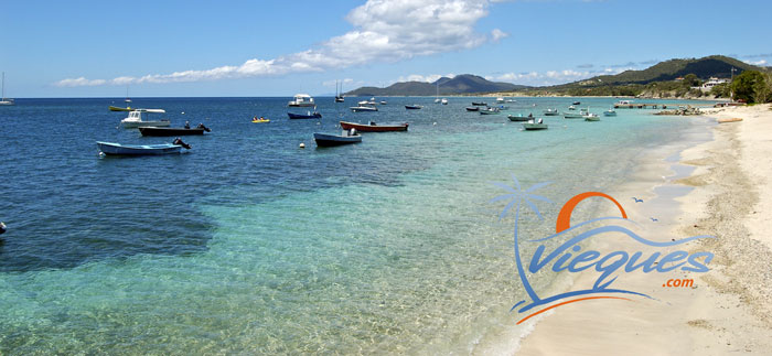 vieques-island-puerto-rico-playa1