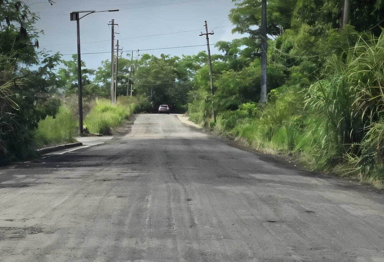 IMAGEN SUMINISTRADA