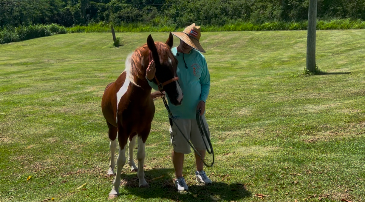 Carlos Méndez, co-fundador junto a su caballo "Contento"