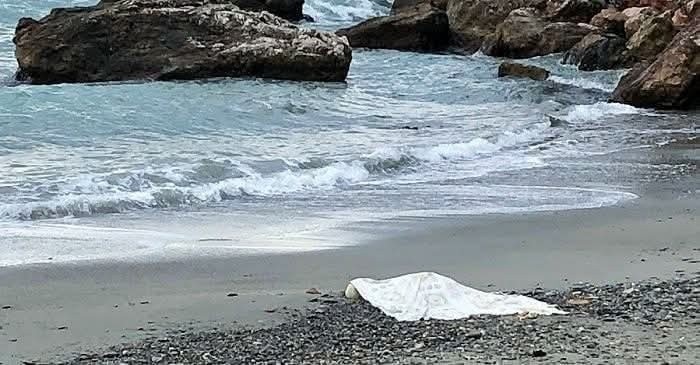 Hombre muere ahogado en el balneario Seven Seas en Fajardo 