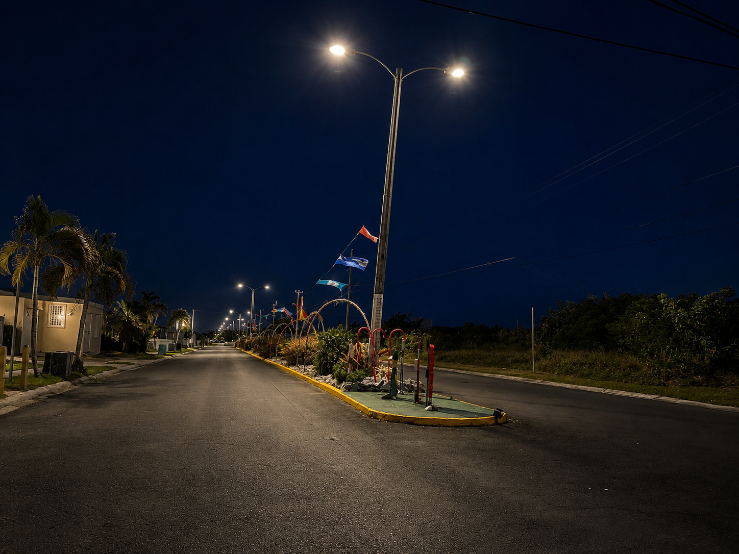Líder de la Cámara anuncia primeros acuerdos con municipios para la reparación del alumbrado público