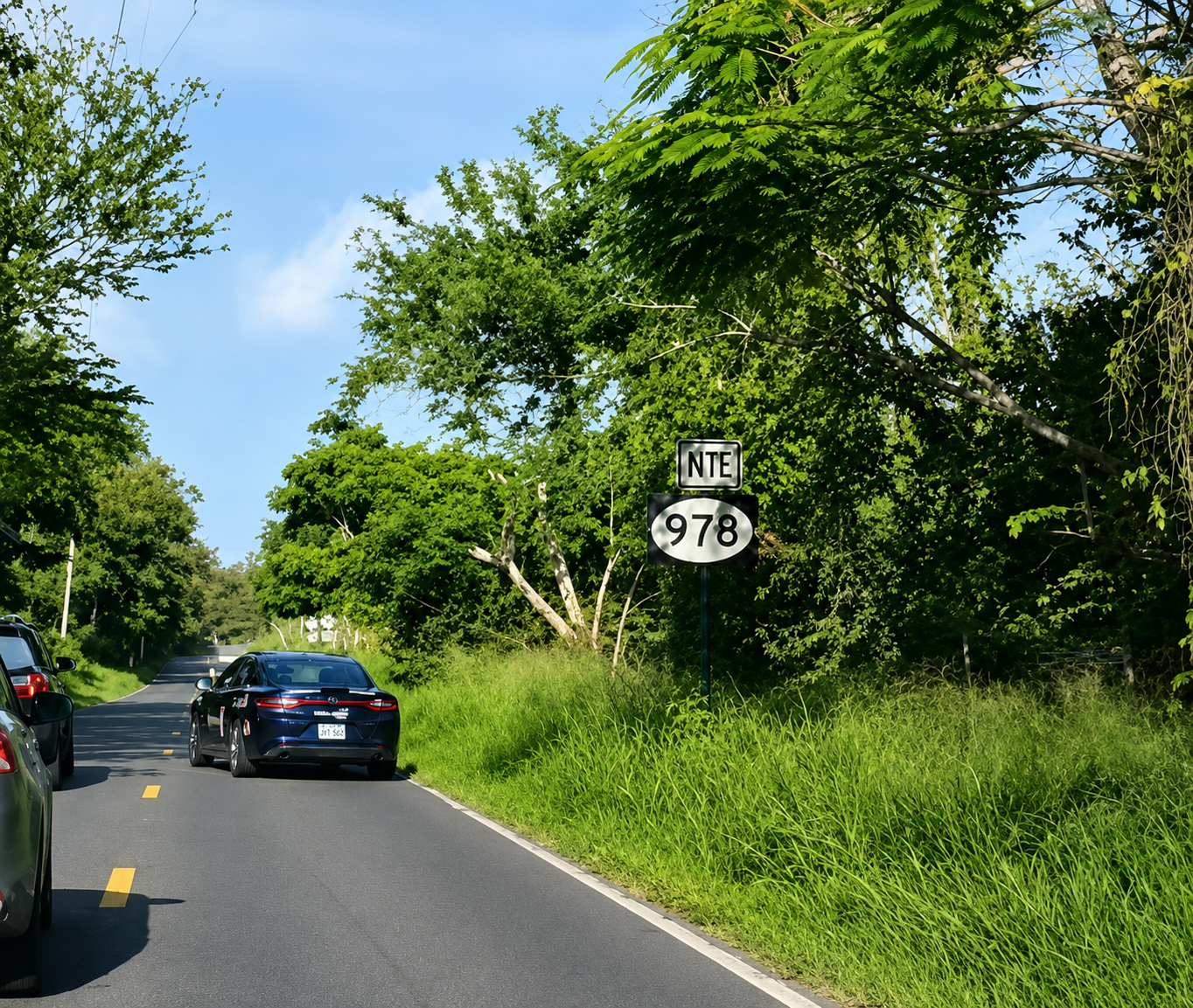 Víctima de robo domiciliario logra desarmar a uno de los asaltantes y frustrar su huida en Naguabo