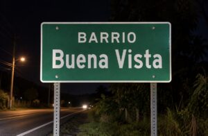Sexagenaria muere tras ser impactada por conductor que abandonó la escena en Humacao