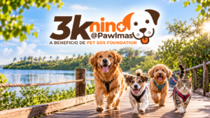 Humacao se prepara para celebrar el primer 3Knino @ Paw-lmas a beneficio de Pet SOS Foundation