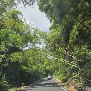 Residentes de Cotto Mabú denuncian peligroso deterioro de la carretera PR-922 en Humacao