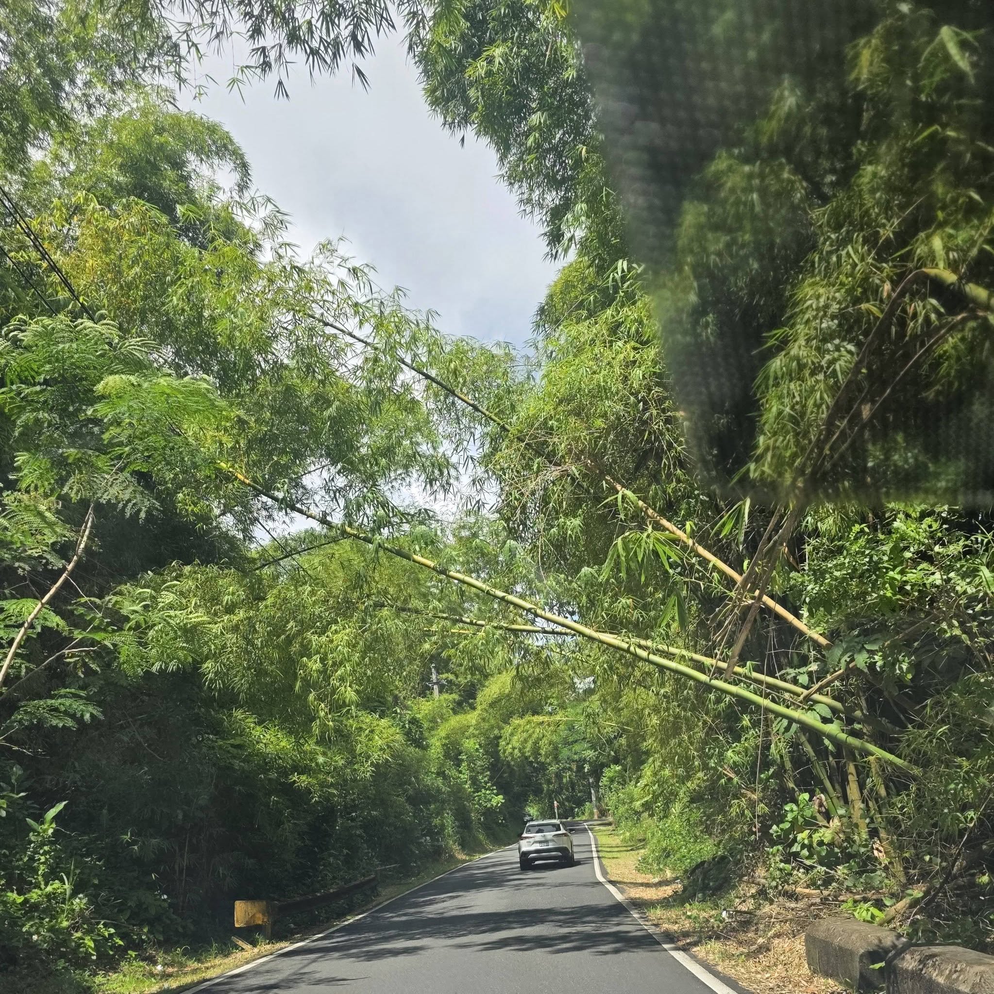 Residentes de Cotto Mabú denuncian peligroso deterioro de la carretera PR-922 en Humacao