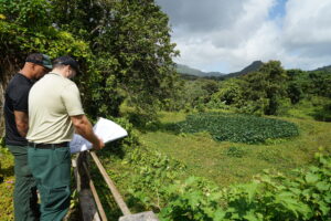 Encuentro comunitario en El Yunque abordará los retos y oportunidades de la agroecología