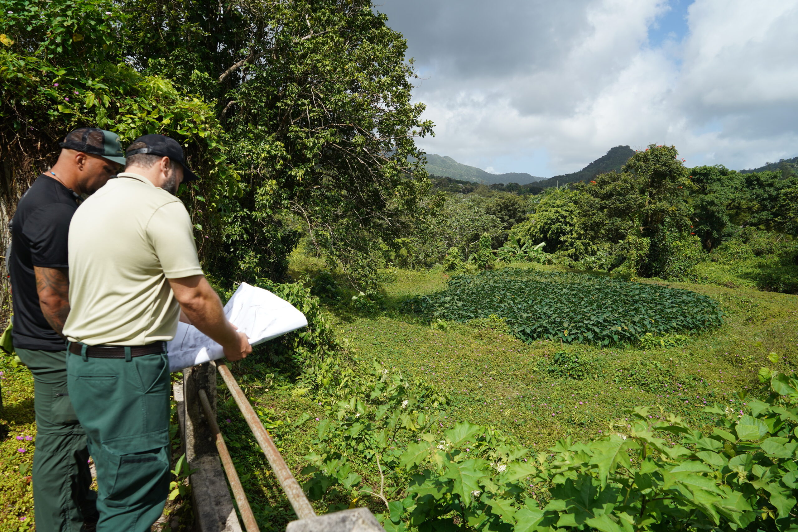 Encuentro comunitario en El Yunque abordará los retos y oportunidades de la agroecología