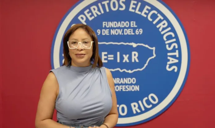 Presidenta del Colegio de Peritos Electricistas advierte sobre fallas en bases de contadores 